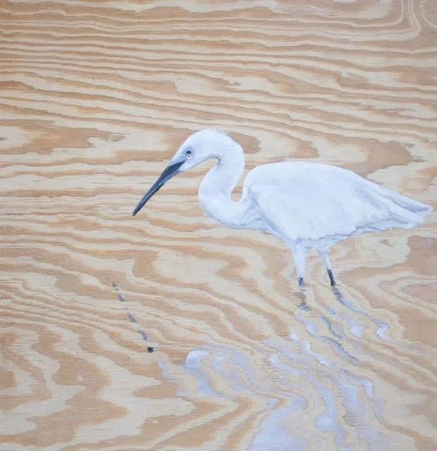 White Egret Dreaming