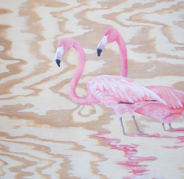 Flamingo Dreaming