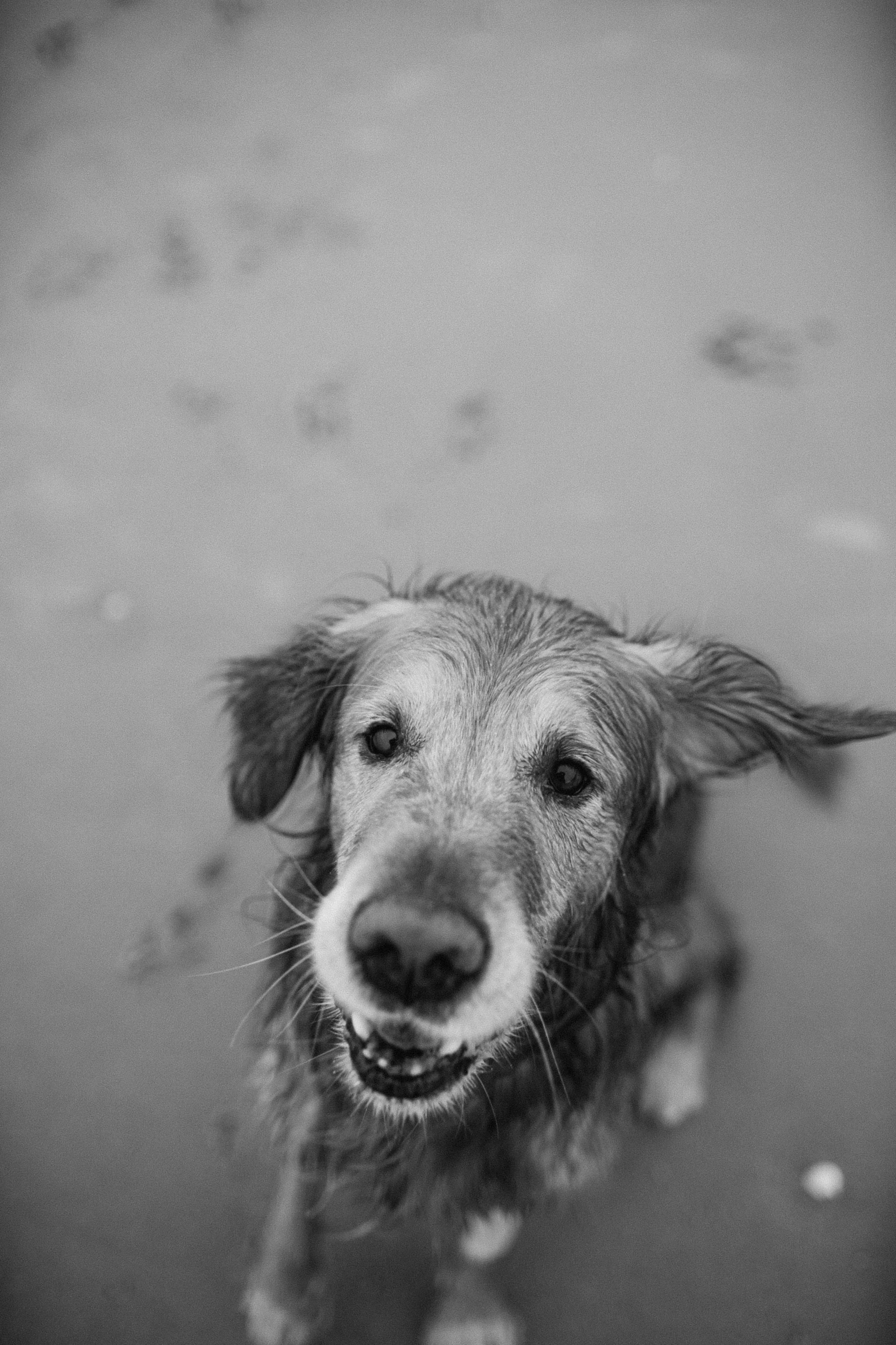 Finn-108.jpg
