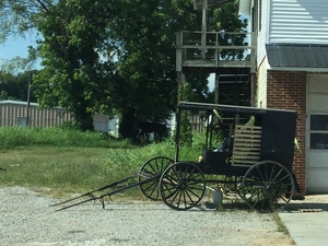 cart 2.jpeg
