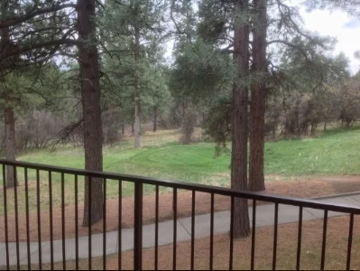 outside.jpeg