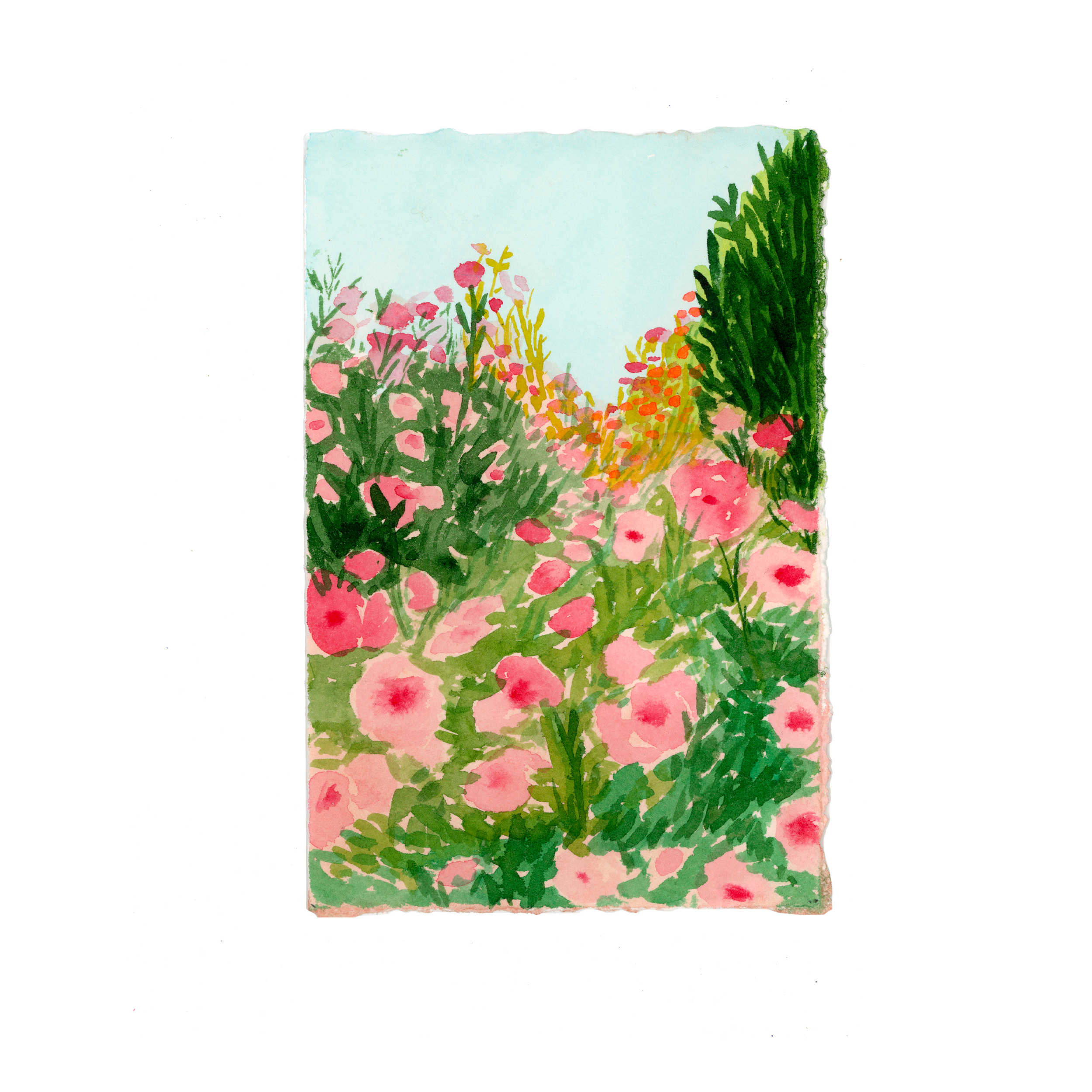 CHAOS GARDEN, 2