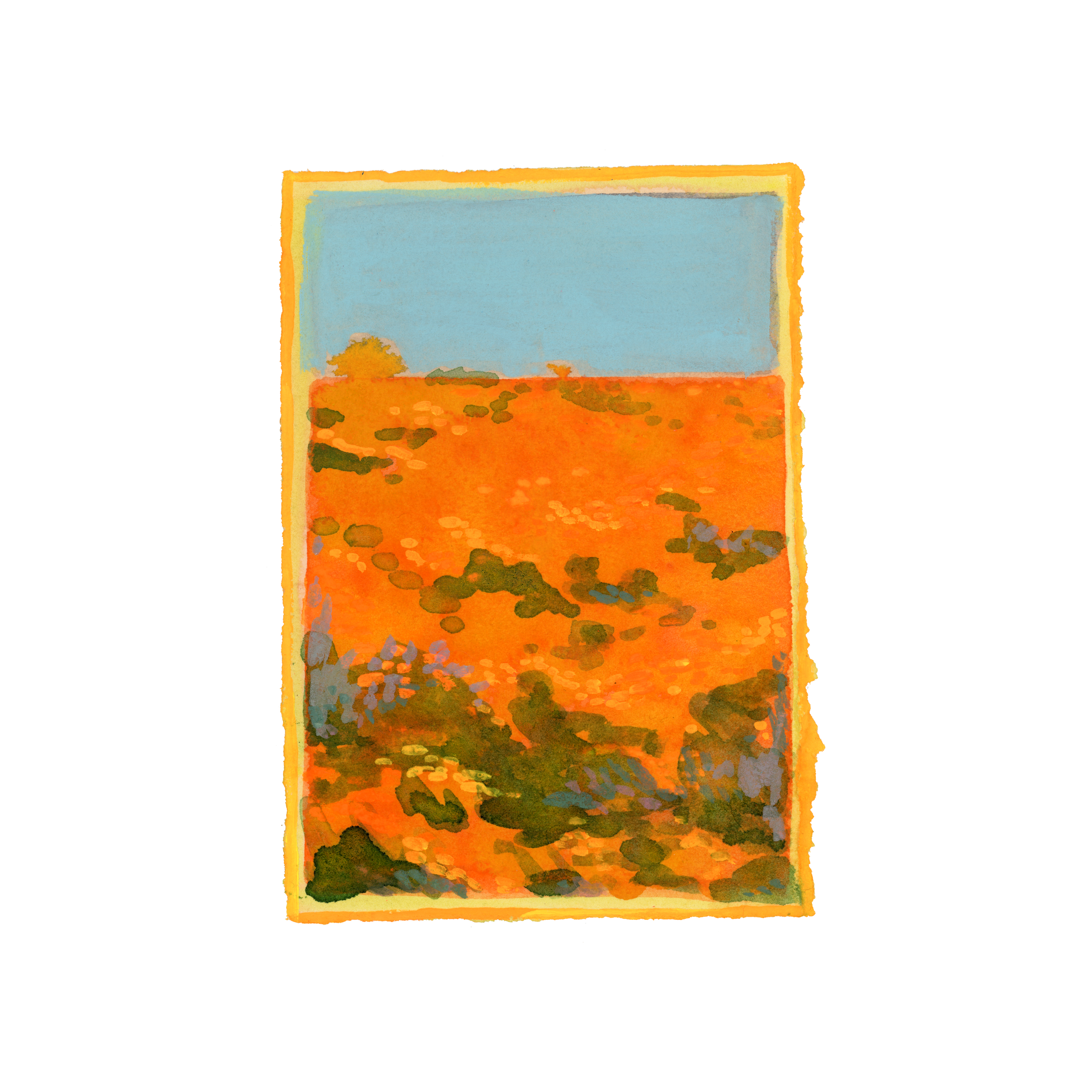 CALIFORINIA POPPY FIELD, 1