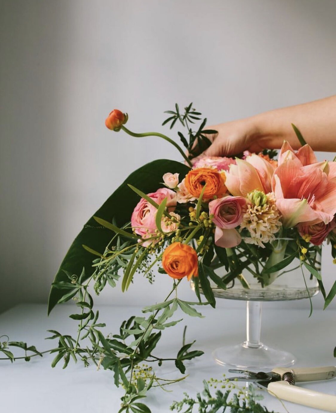 Sara York Grimshaw Designs