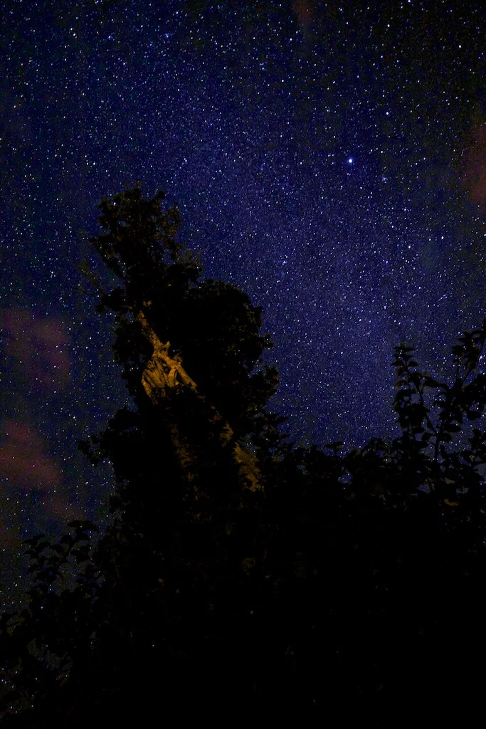 Milky Way from Pavones