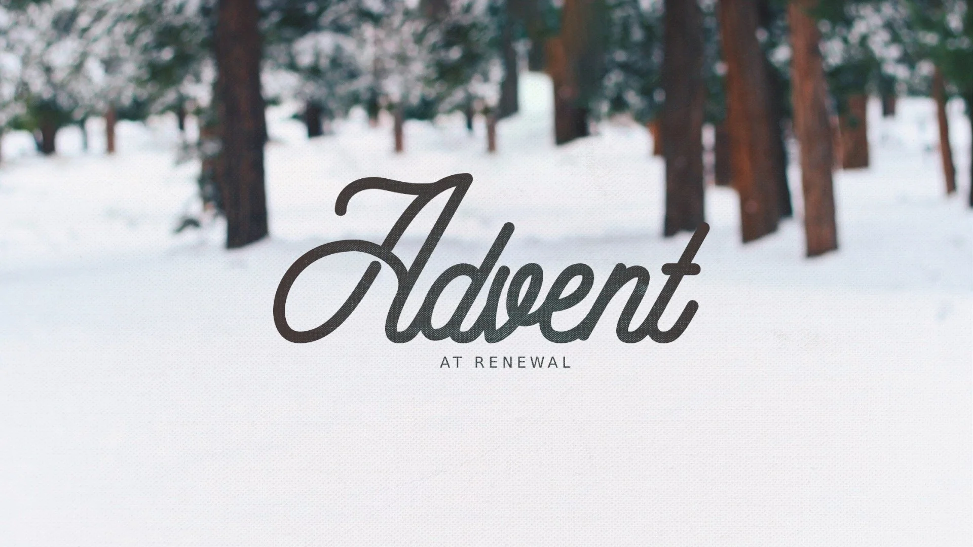 Advent At Renewal Logo.jpeg