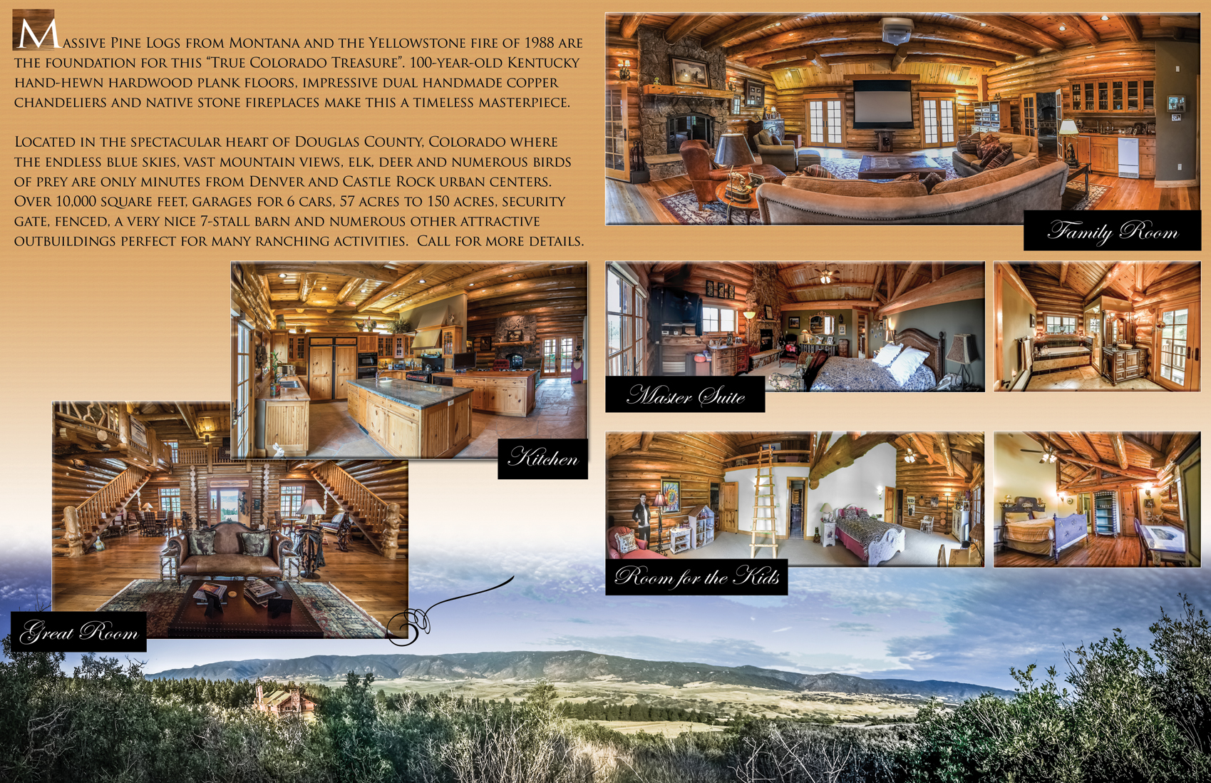 Inside 11x17 Brochure Design