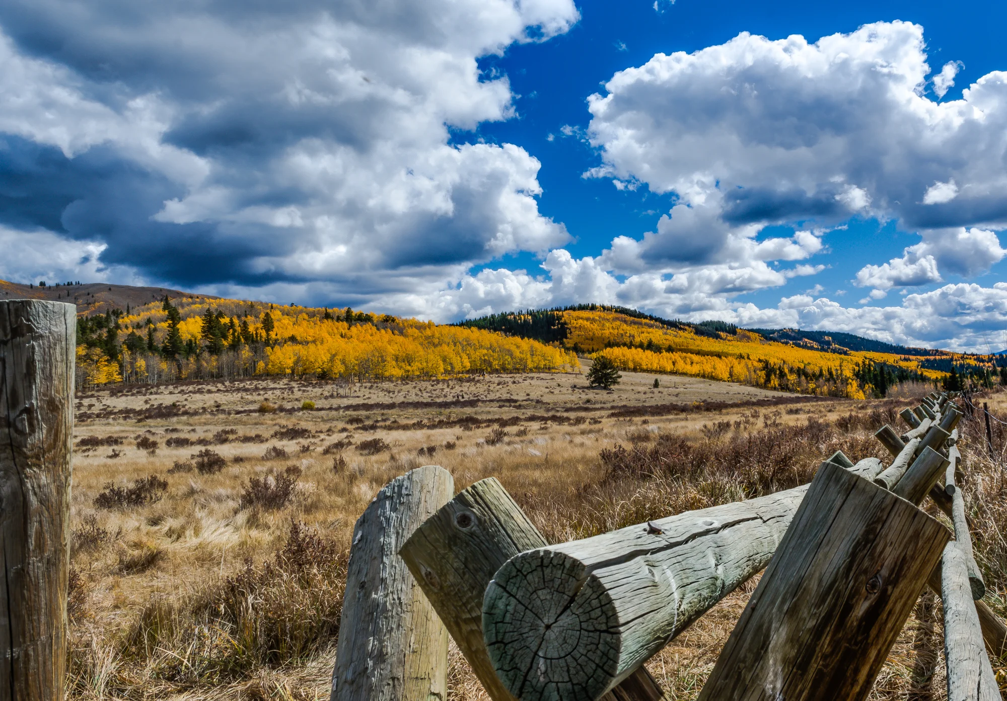 _DSC5834-2Enfused-2.jpg