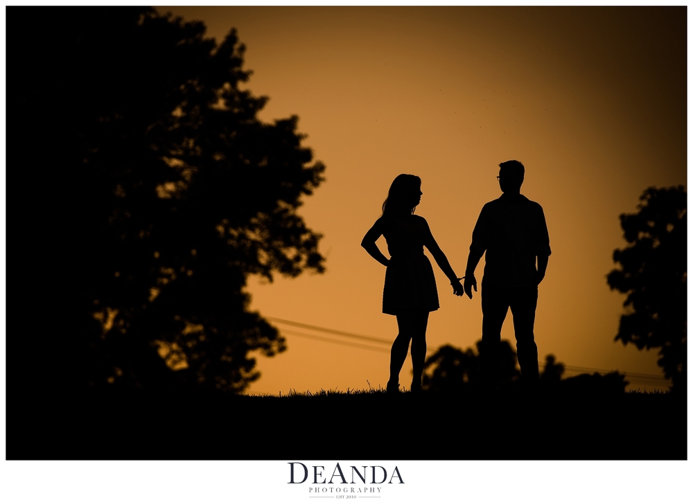 Fabyan Forest Preserve Engagement Shoot