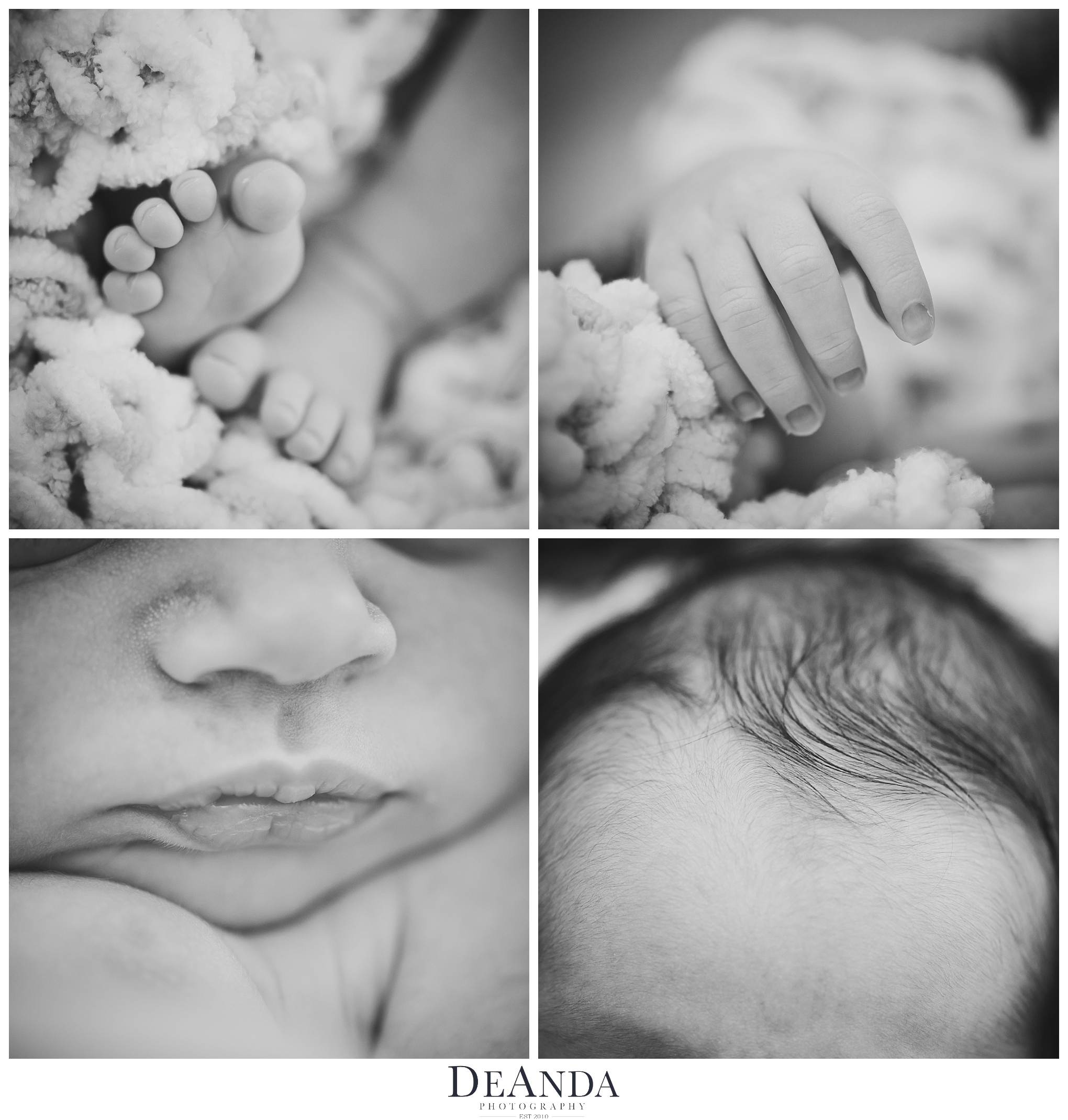 Newborn Baby Parts Collage