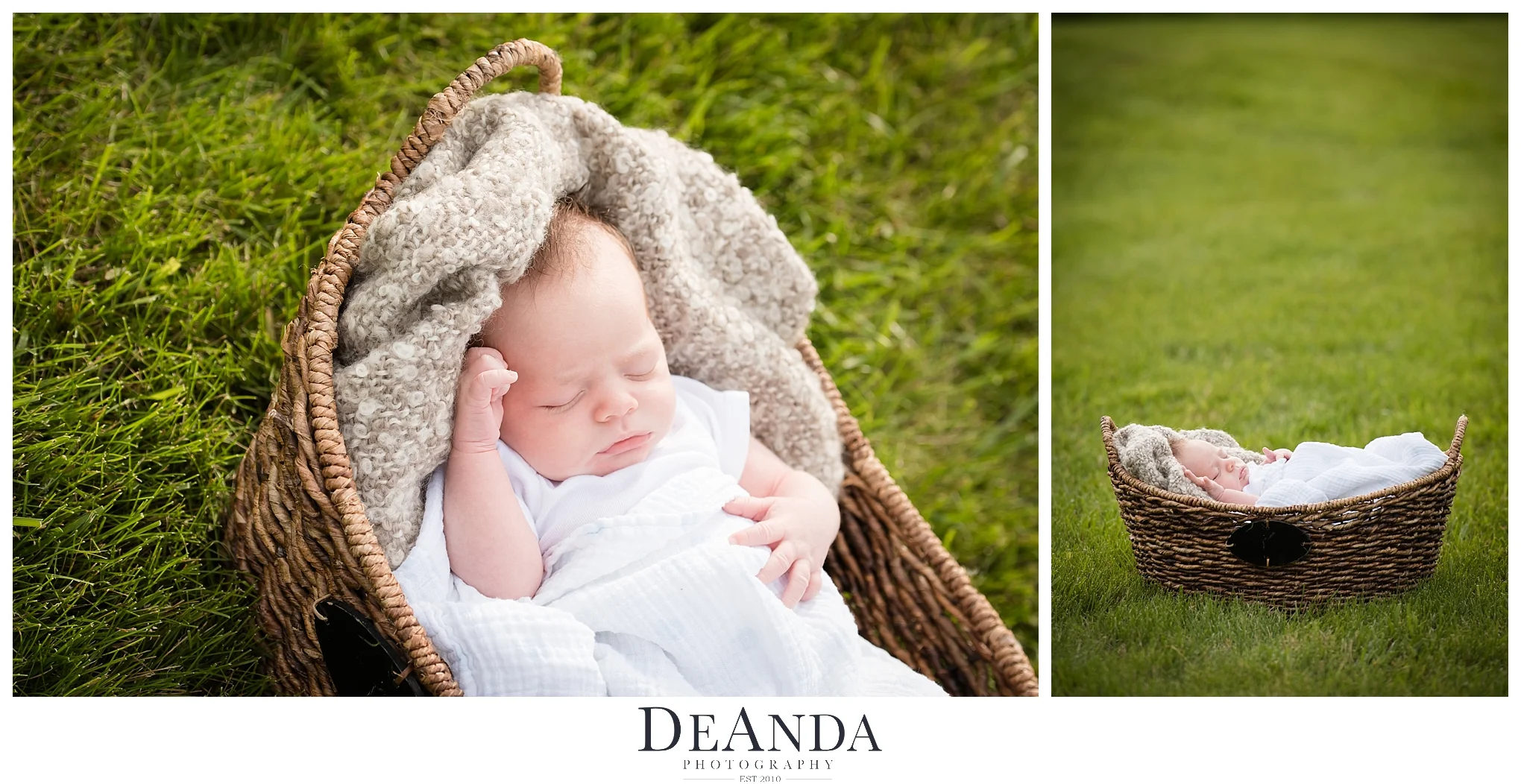 Newborn in Basket