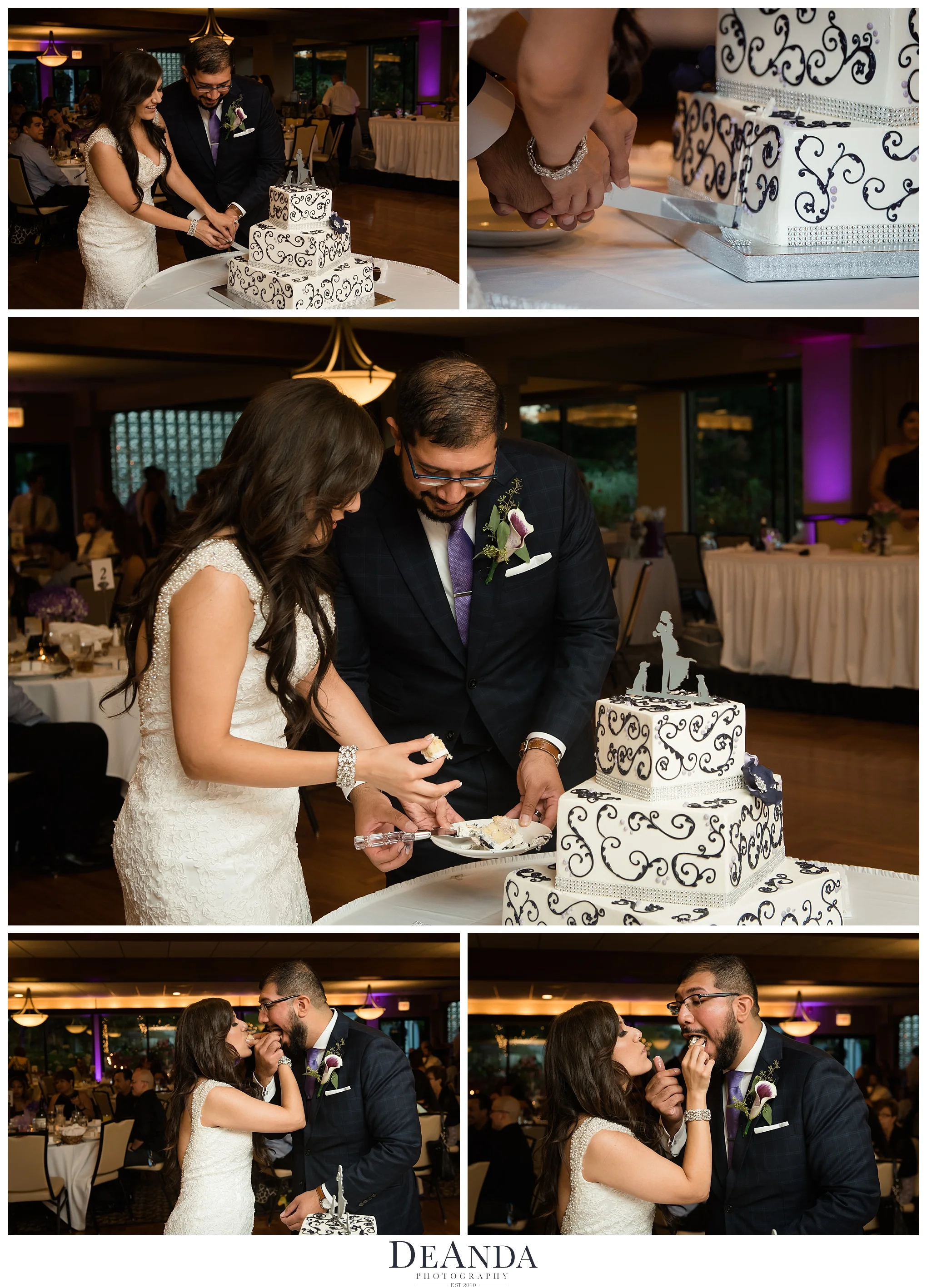 cake cutting