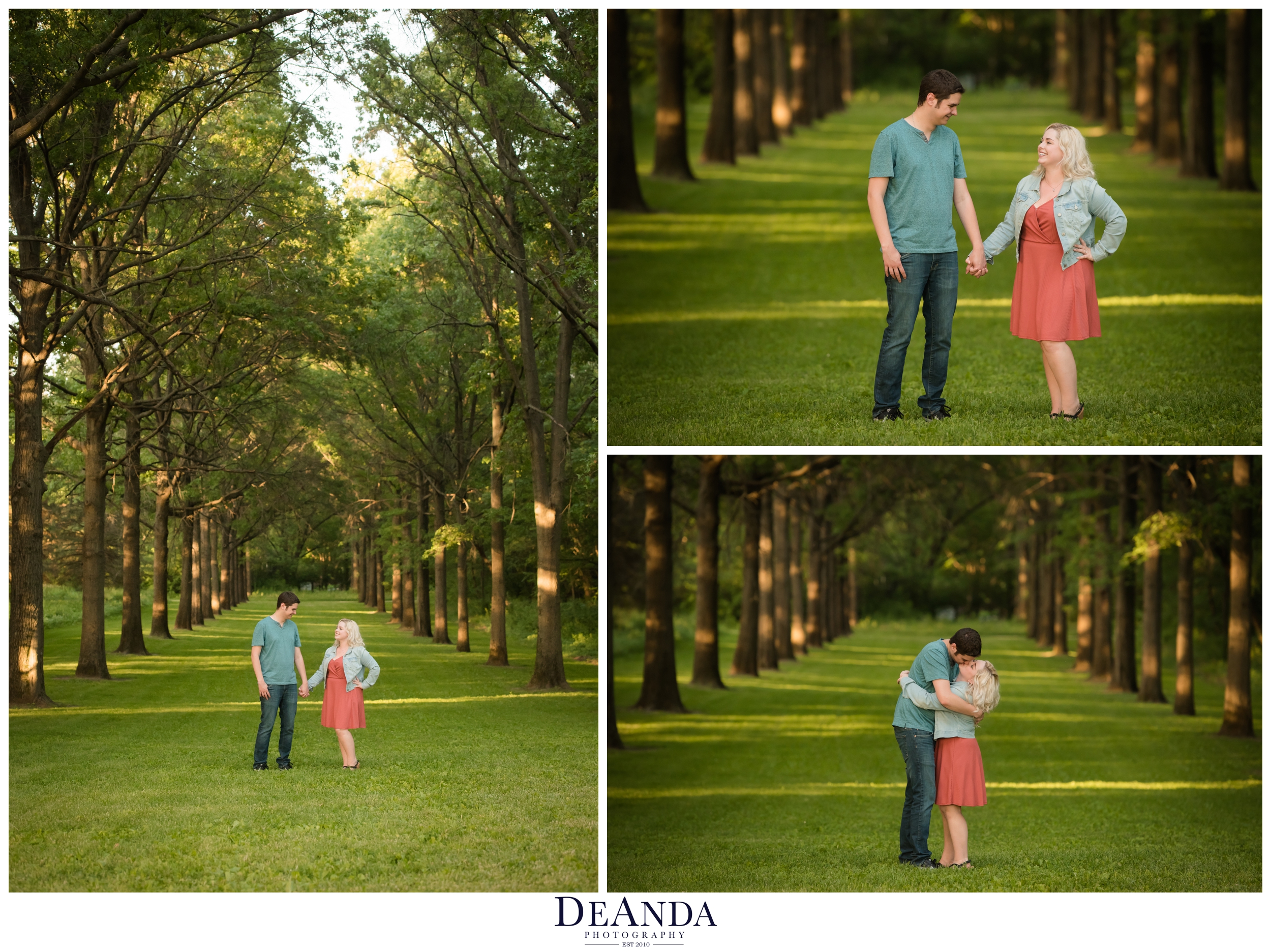 st.james farm engagement pictures