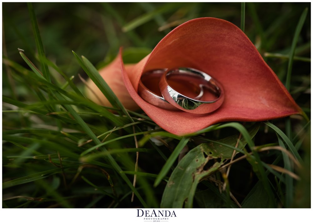 wedding rings of two brides in chicago