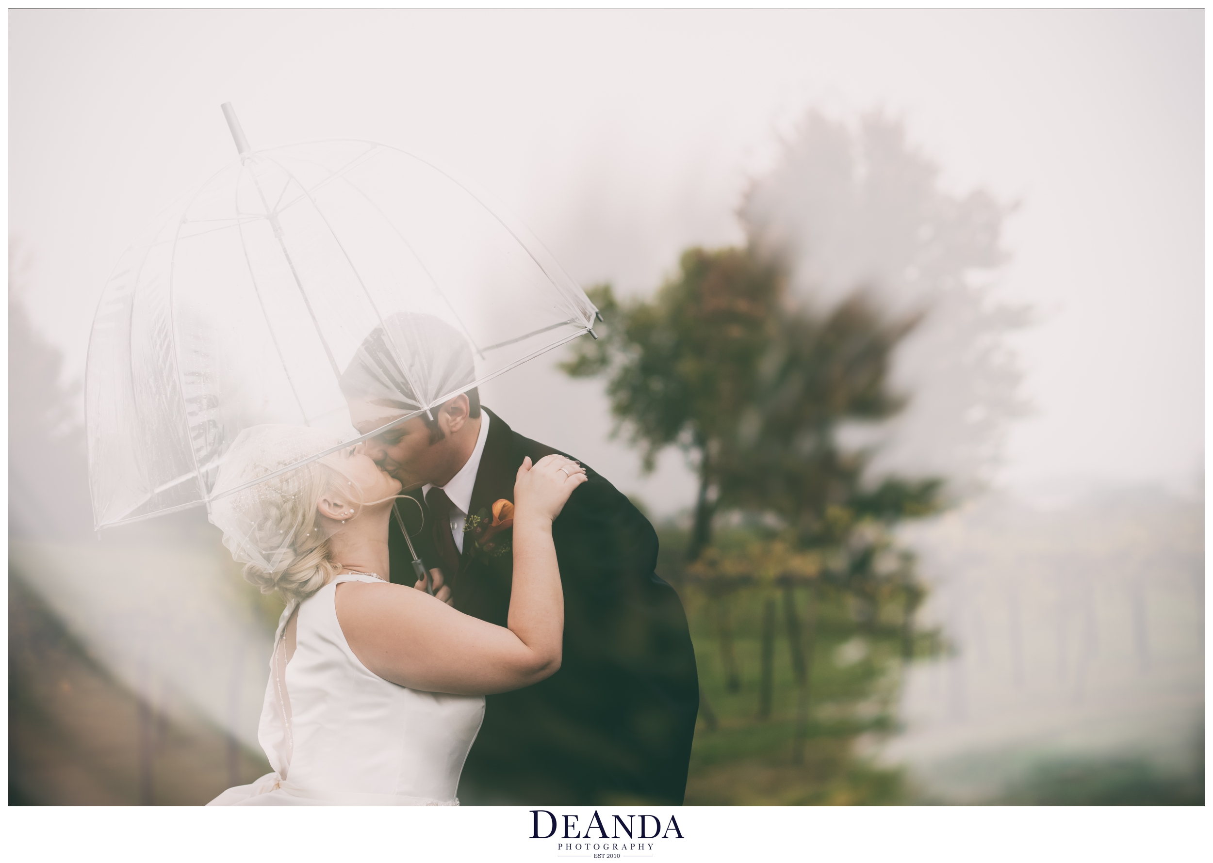 bride and groom under an umbrella at acquaviva winery in maple park