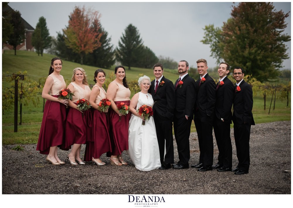 wedding party at acquaviva winery in maple park