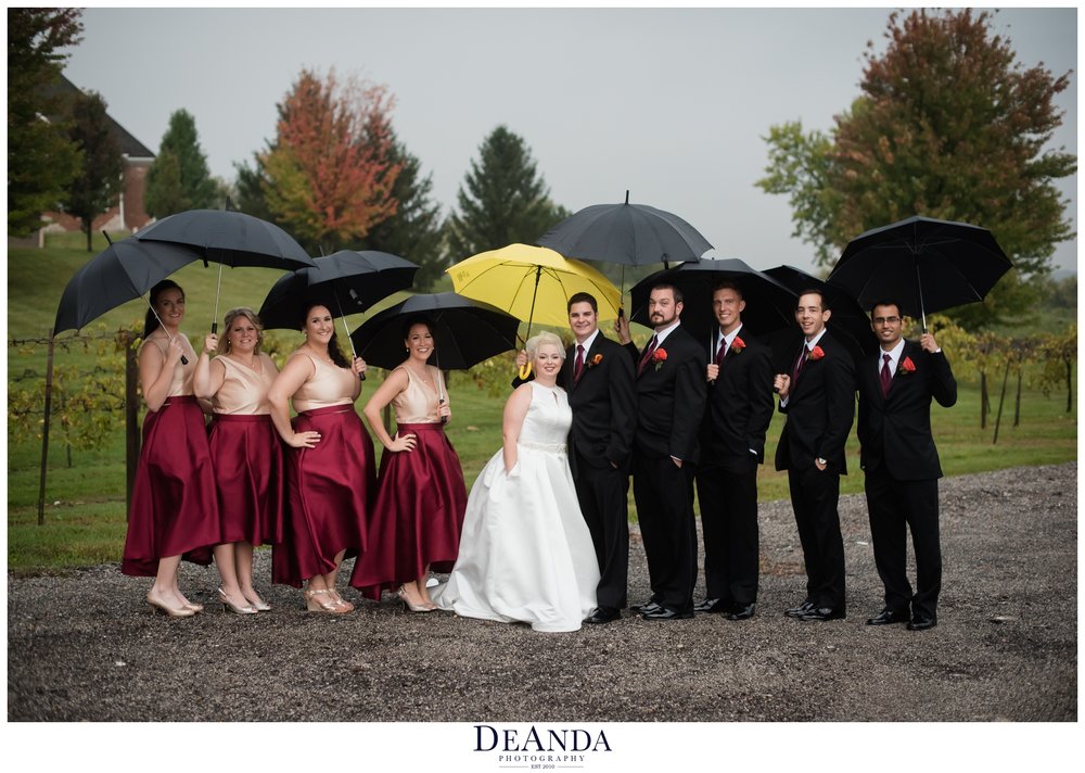 wedding party under umbrellas at acquaviva winery in maple park