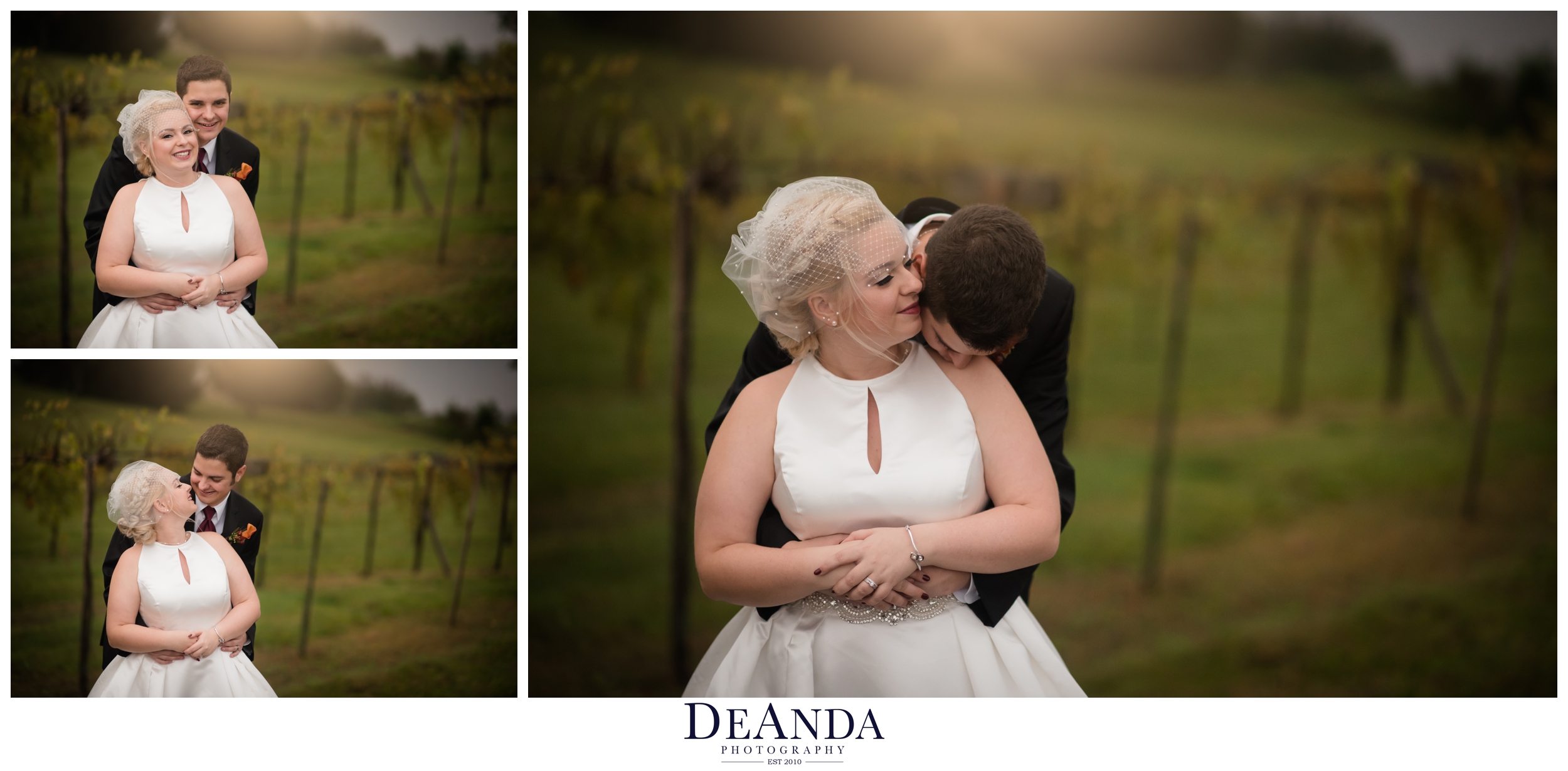 bride and groom at vineyard acquaviva winery in maple park