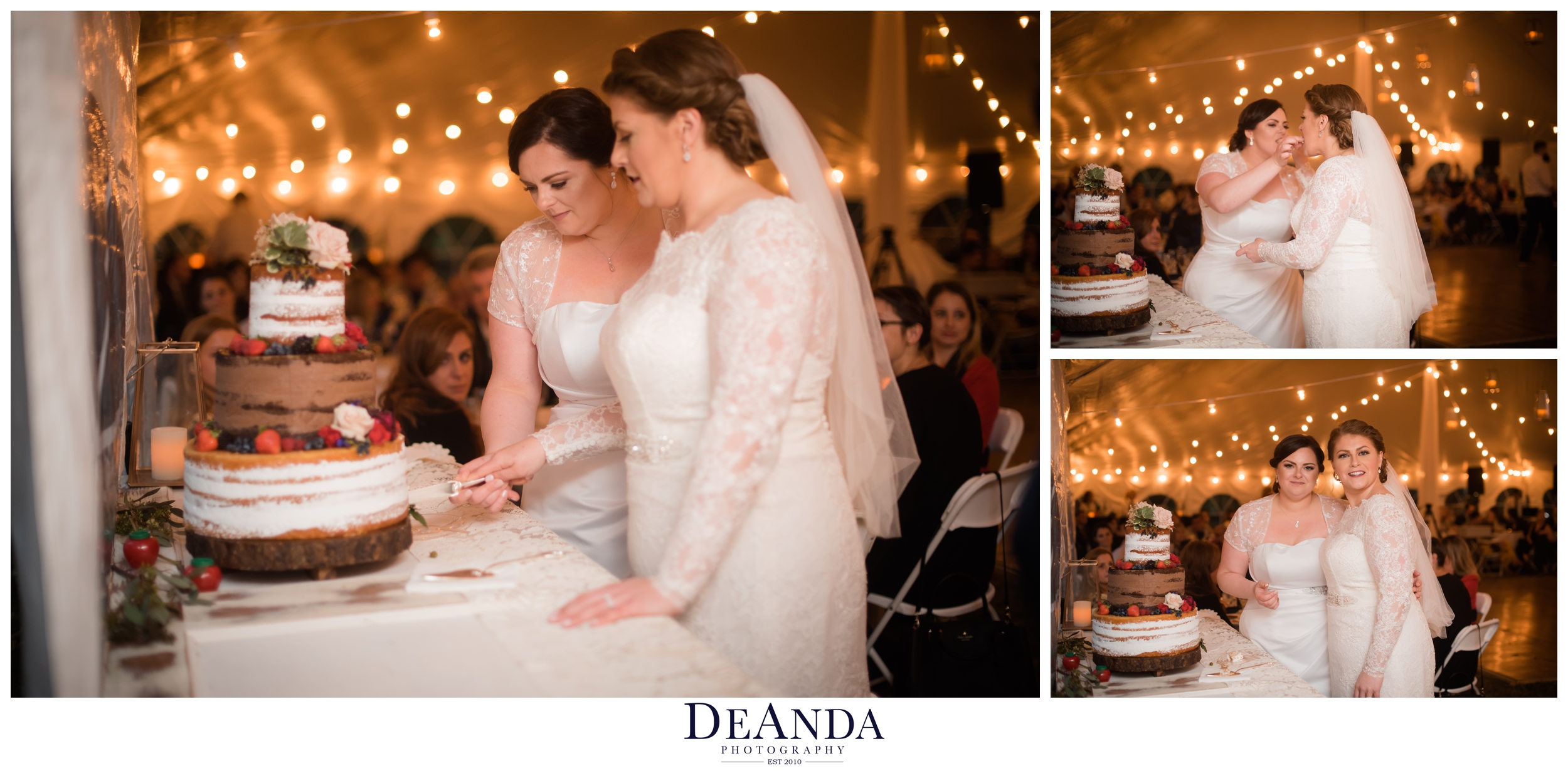 two brides cutting their cake in their tent wedding outside of chicago in the suburbs