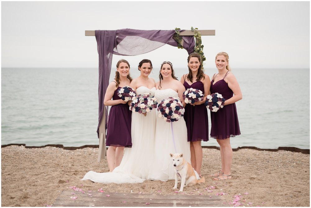 Two Brides and their wedding party