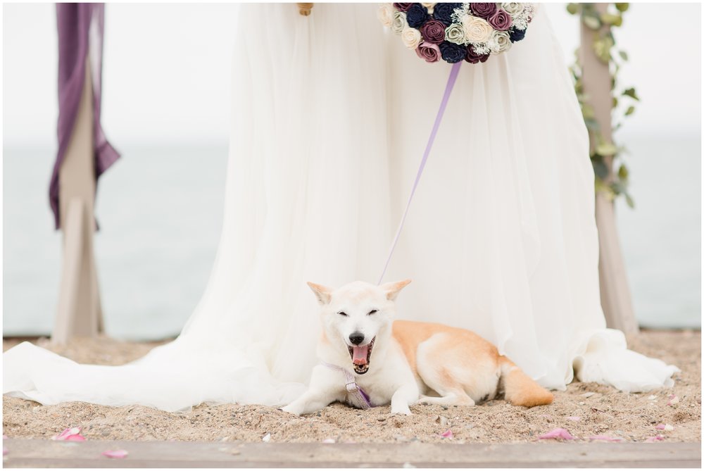 Wedding photo with Dog at Zion Illinois
