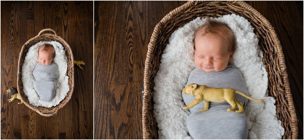 Newborn with Lions