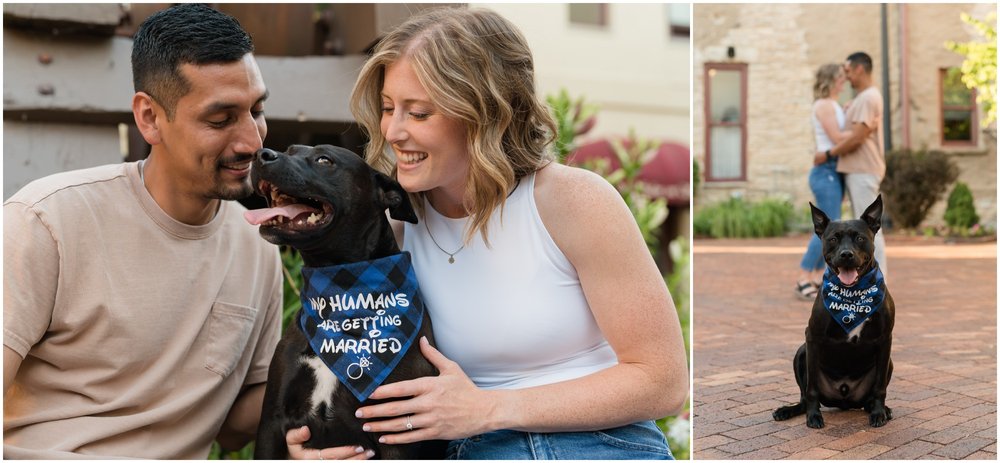 Engagement photo with dog