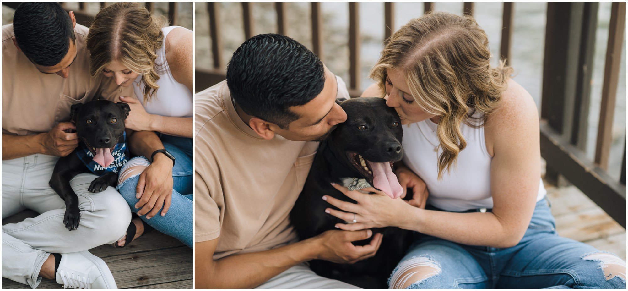 Dog Snuggles Engagement