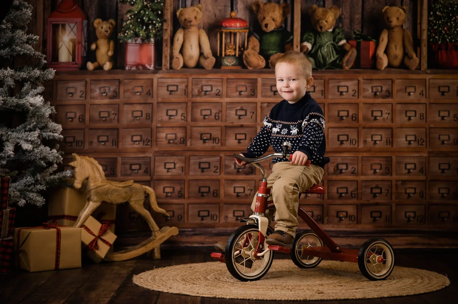 Algonquin and Chicago Holiday Photography 2024