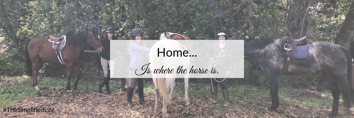 Blog - Home is where the horse is..png