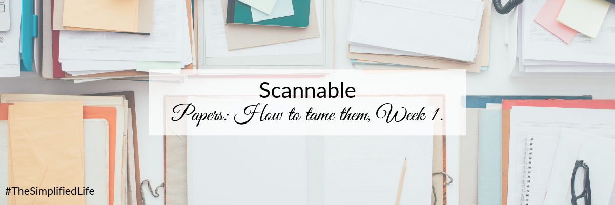 Blog - Scannable.png