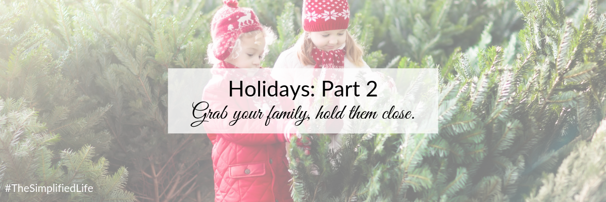 Blog - Holidays Part 2.png