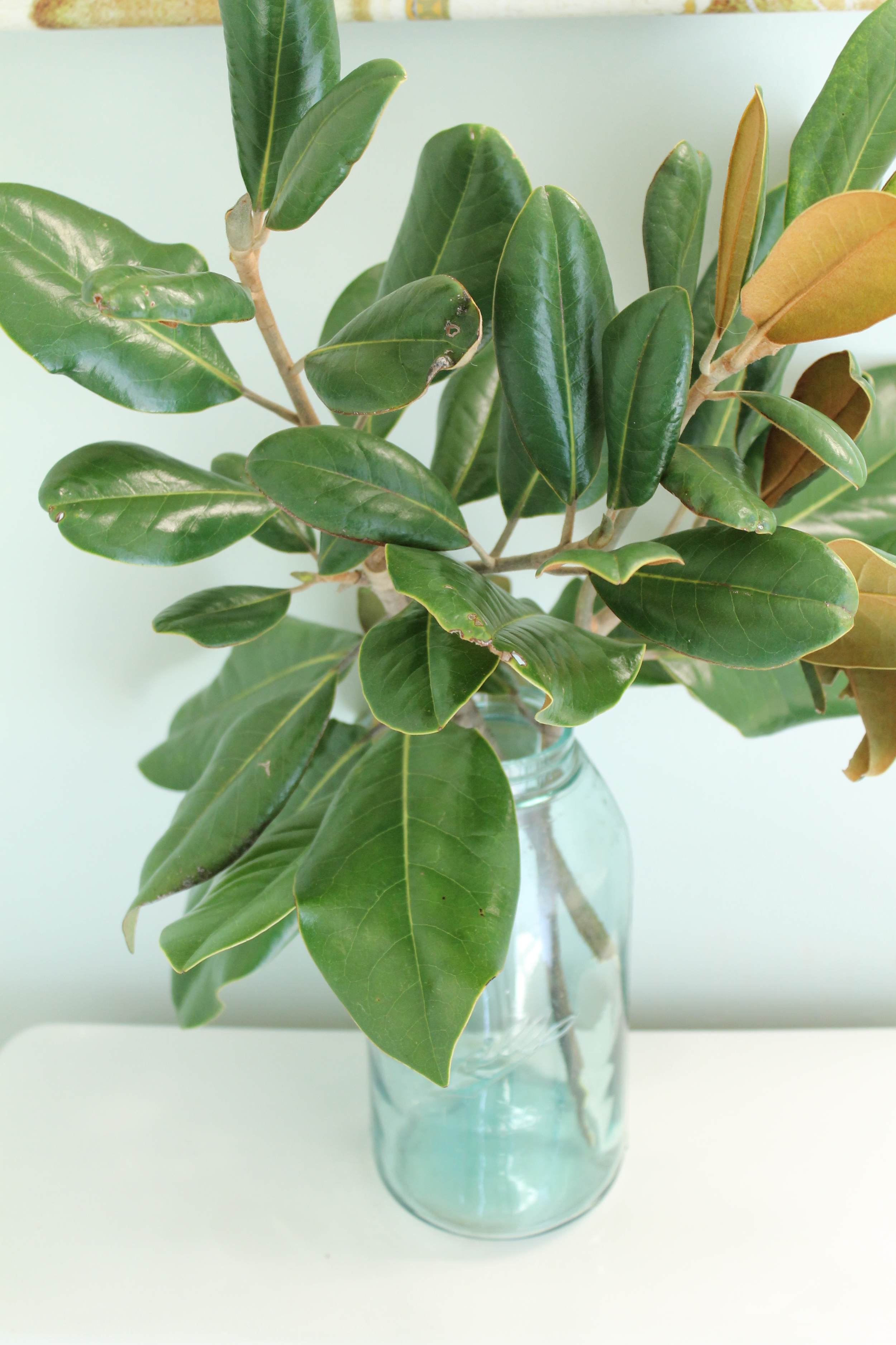 Elizabeth Burns Design | Budget Friendly Powder Room Makeover for Around $200