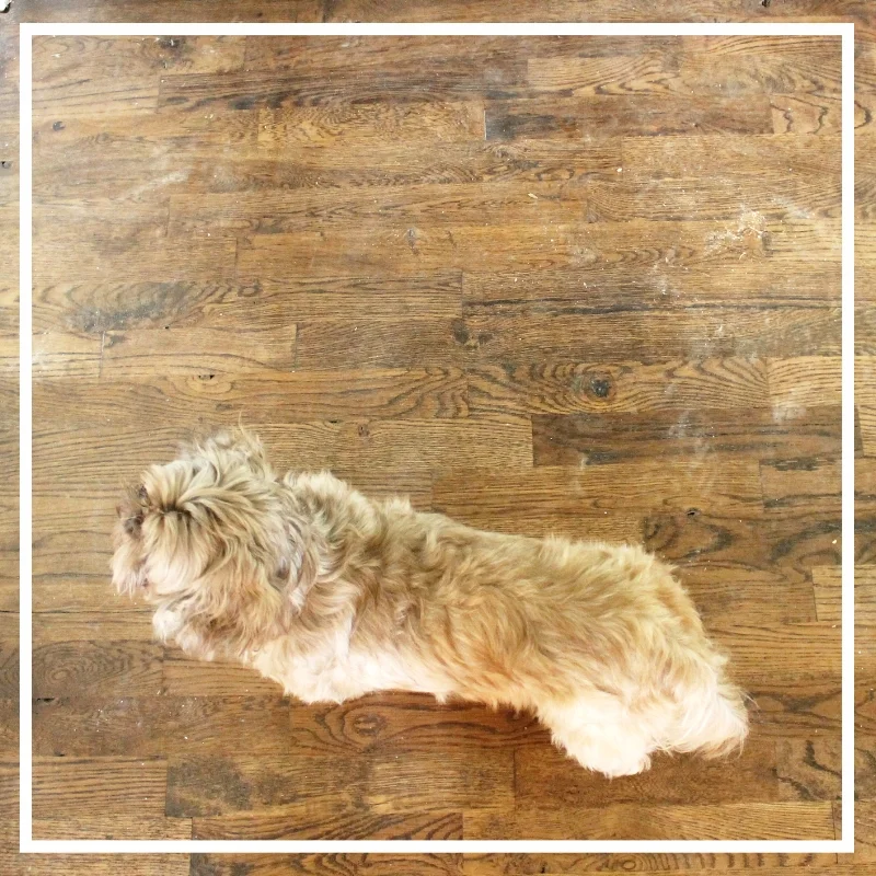 Our Utility Grade Oak Floors | Myrtle House