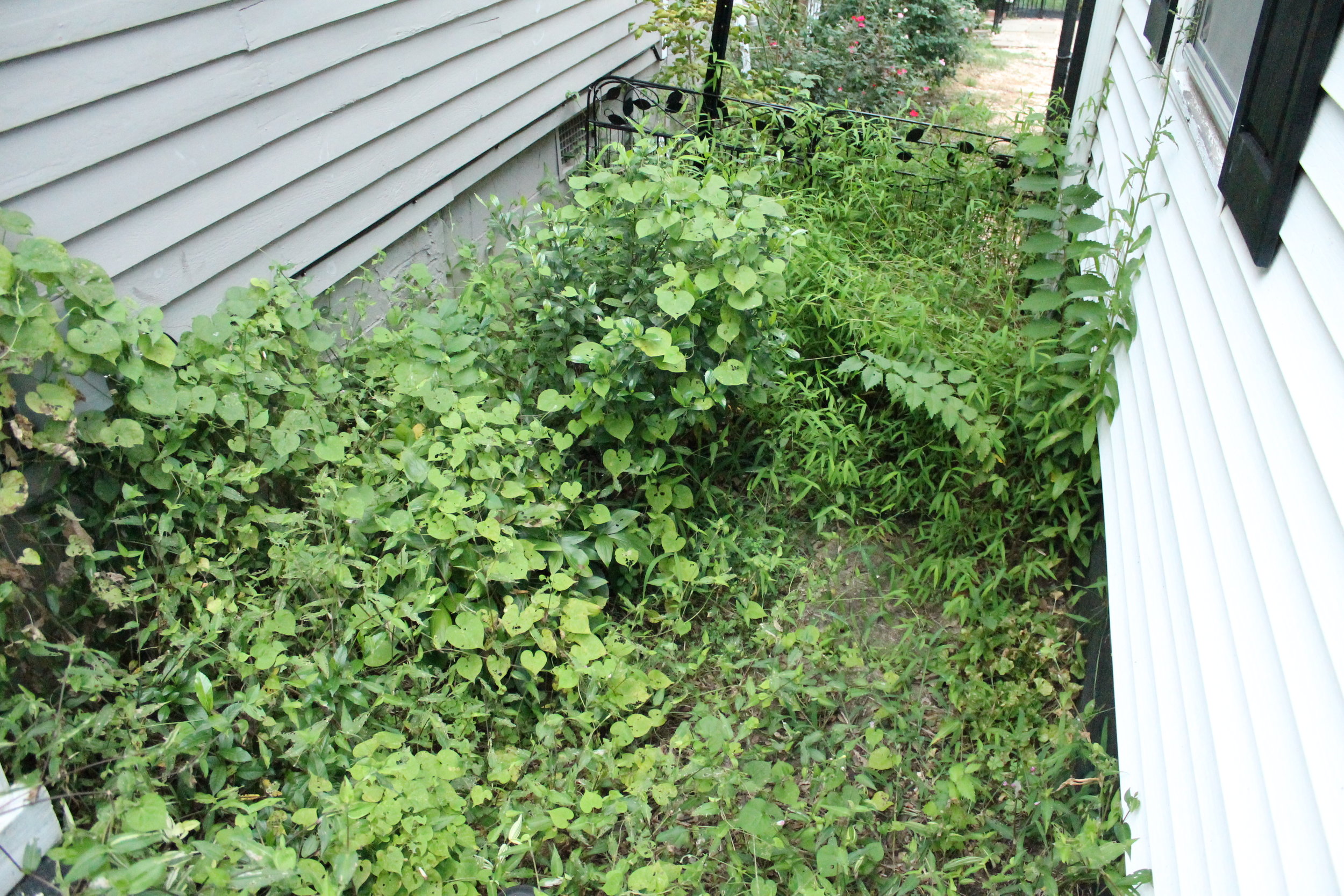 There used to be a sidewalk down there...
