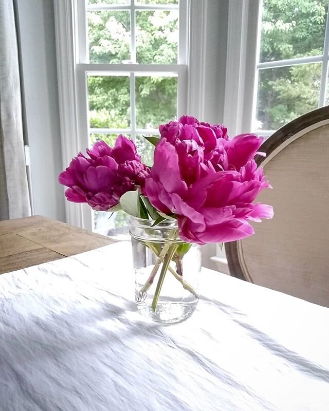Picked the few peonies that have bloomed before the severe weather hits. These were supposed to be Shirley Temple peonies - a very pale blush - but apparently they were mislabeled. 😂 The fuschia blooms, while surprising, are quite the show-stoppers.