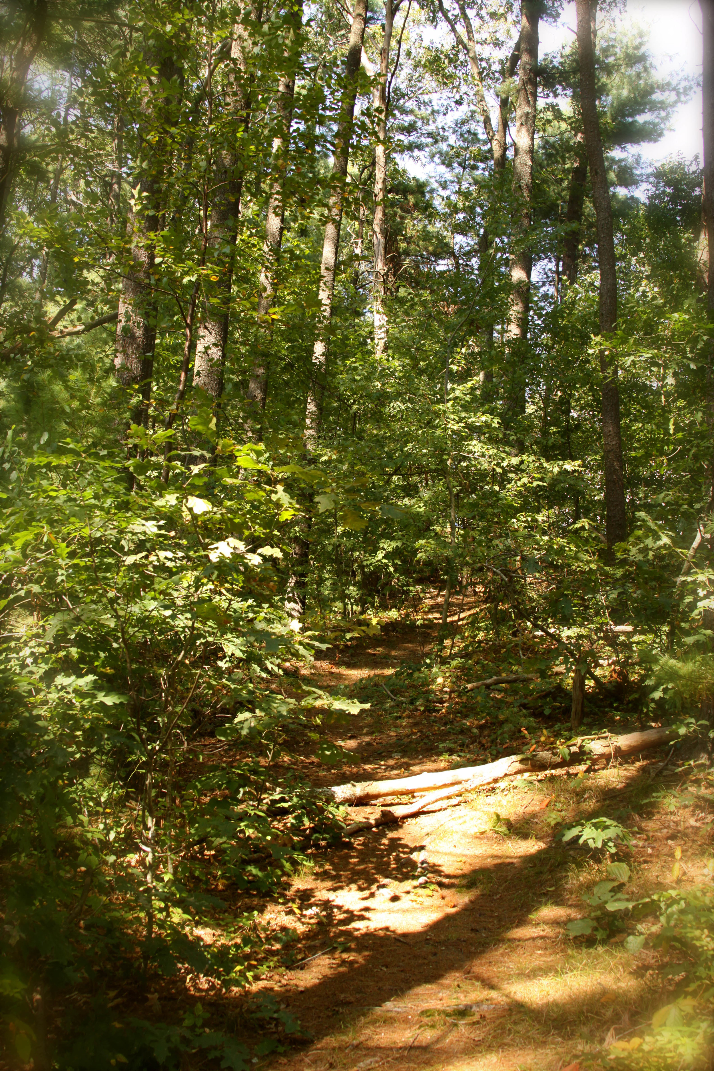 path to fire ceremony, Pembroke, MA