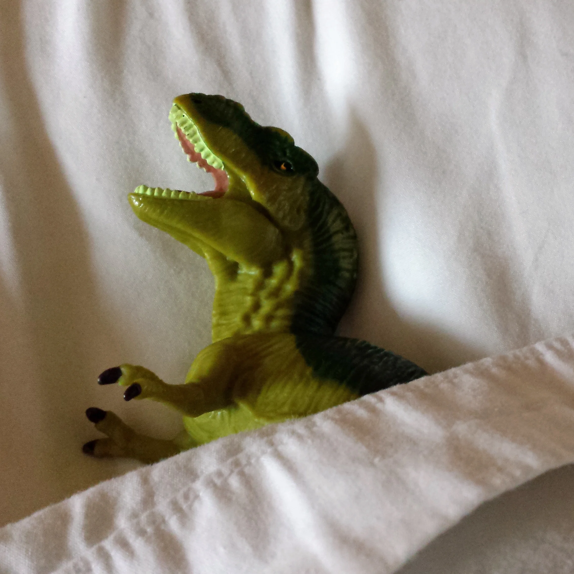 Artist Stories: Rorie Kelly's Tips for Artists to Combat Sleep Deprivation