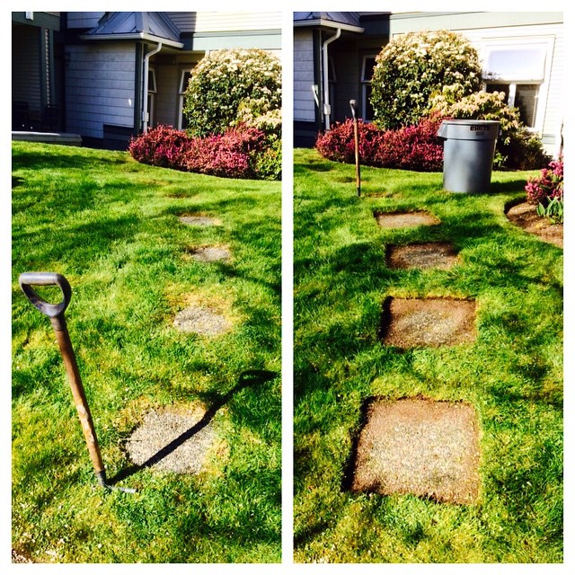 Our crews are always focused on what will make the highest impact for our clients. Re edging overgrown slabs in the lawn has to be right at the top of the list for impact work.