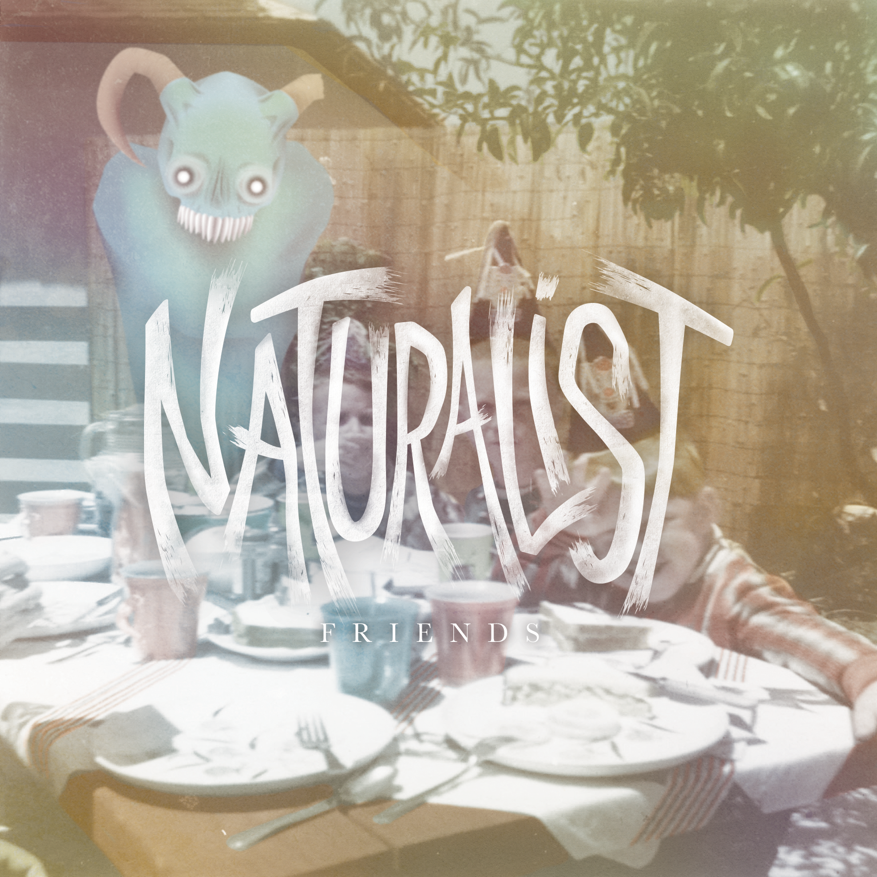 "Friends" Album Cover
