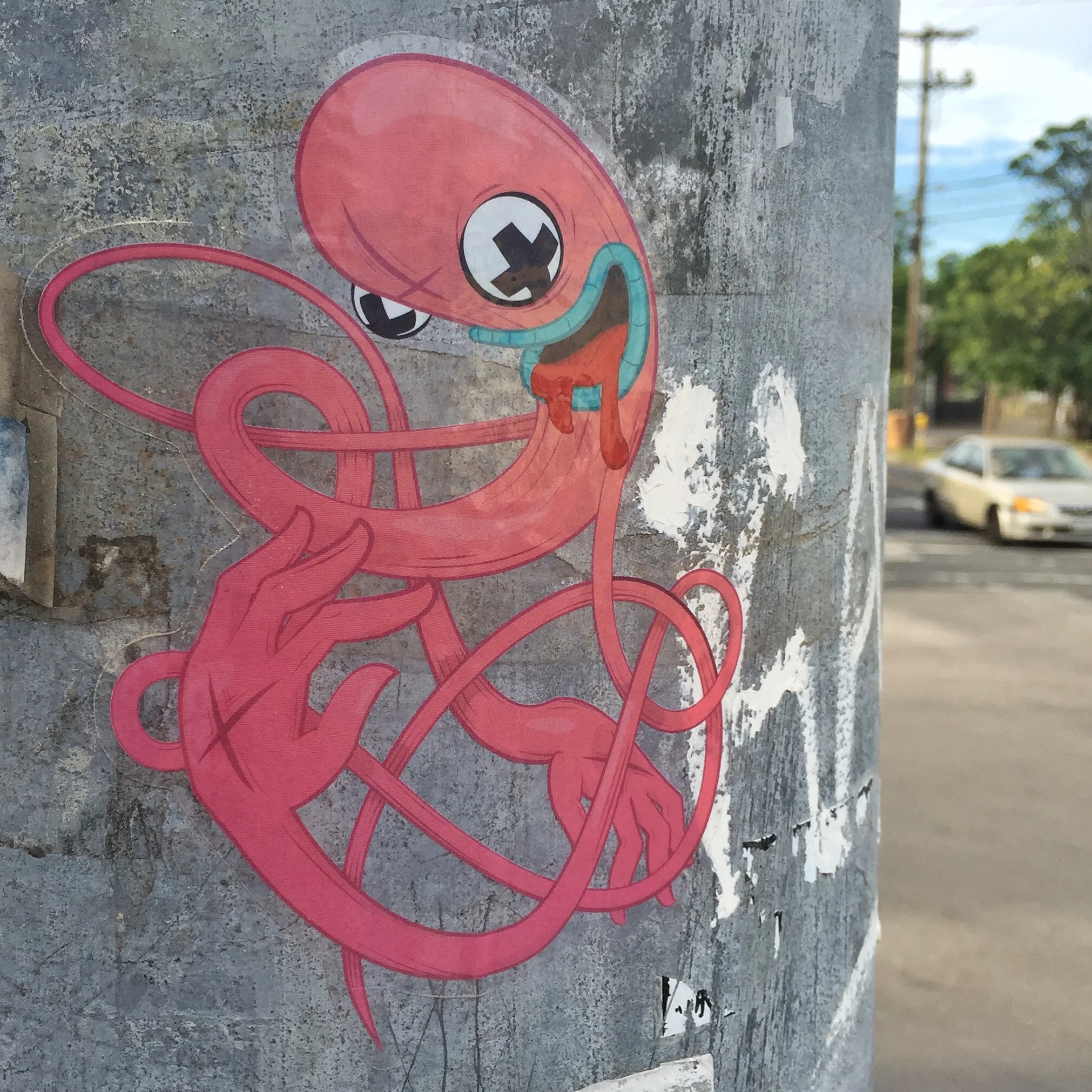 Pink Worm Wonder