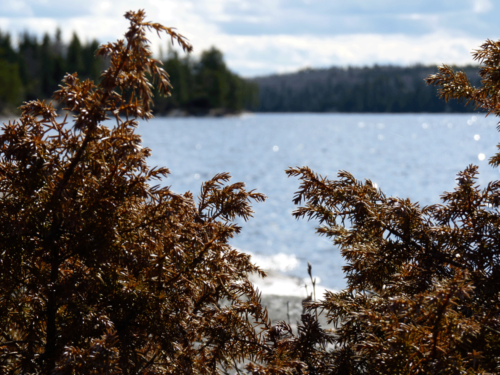Liam-riley-Canada-Photography-02.gif