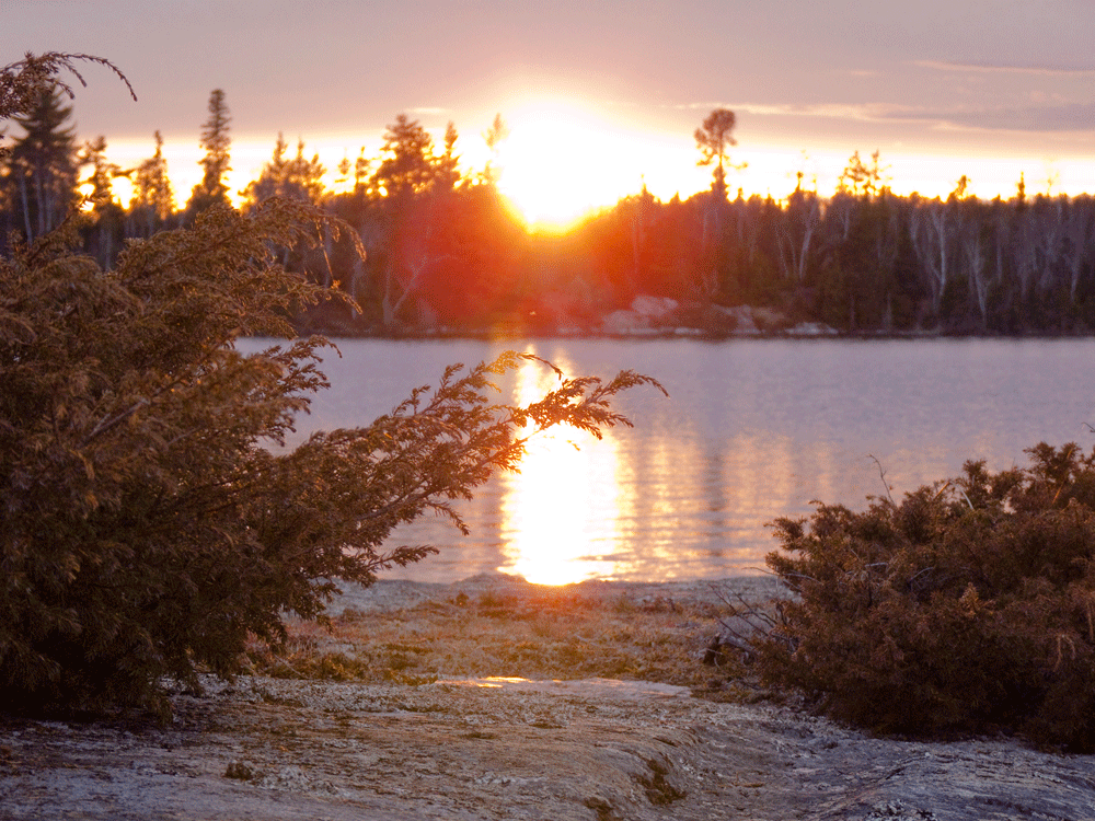 Liam-riley-Canada-Photography-07.gif