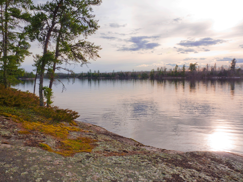 Liam-riley-Canada-Photography-12.gif