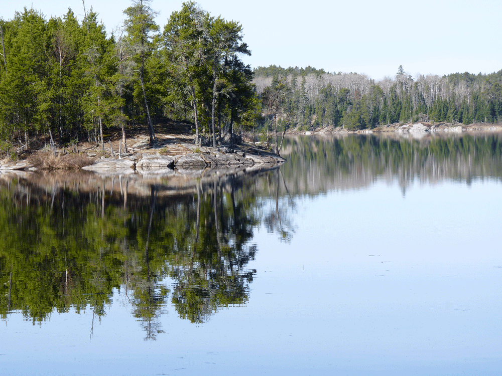 Liam-riley-Canada-Photography-15.gif