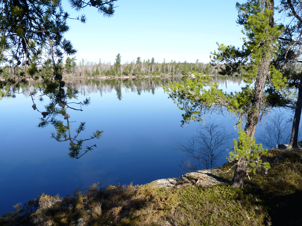 Liam-riley-Canada-Photography-16.gif