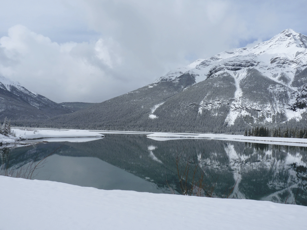 Liam-riley-Canada-Photography-04.gif