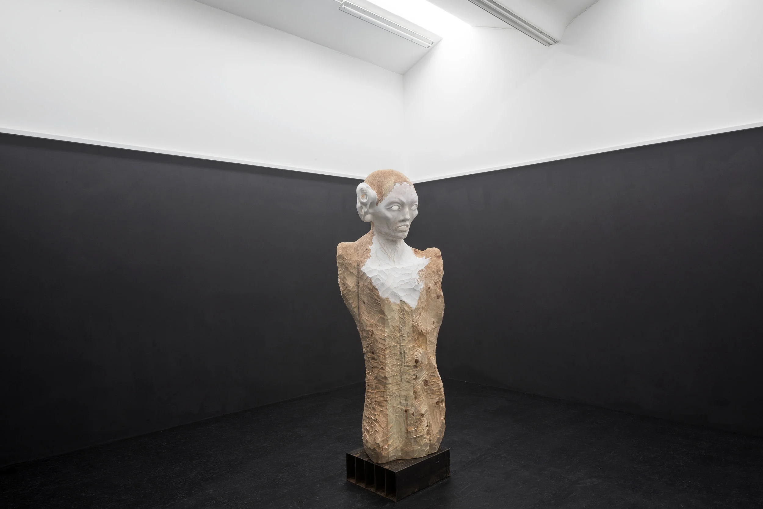 Peter Senoner, Zyr, 2016 - 2017