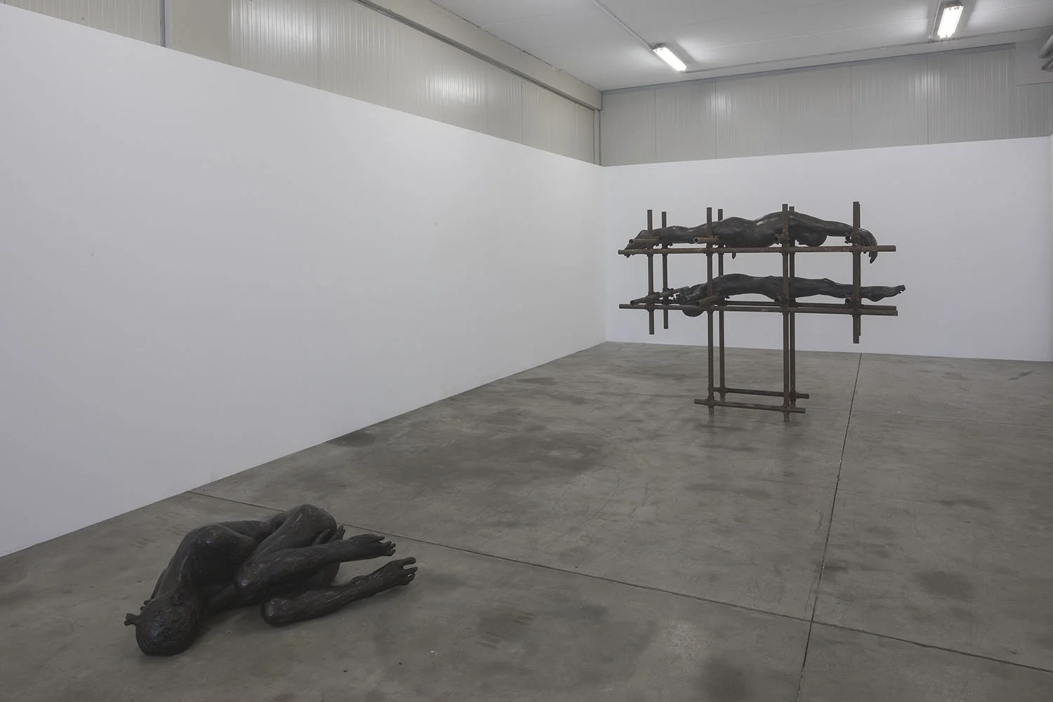 Lois Anvidalfarei, Igitur, Conditio Humana, courtesy: Alessandro Casciaro Art Gallery