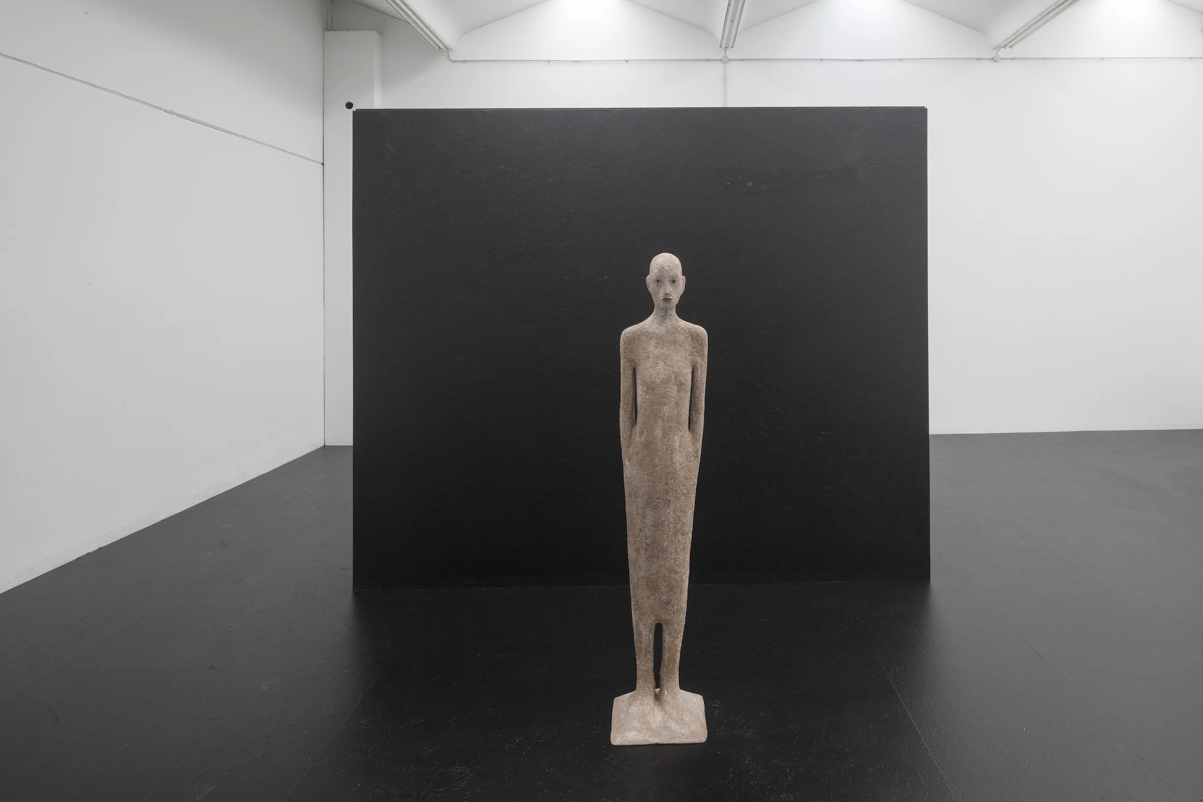 Walter Moroder, Abineda, 2017